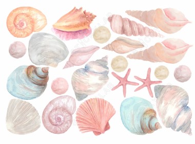 Pastel Watercolor Seashells 127911 2