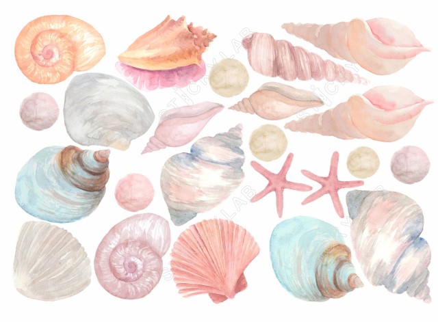 Pastel Watercolor Seashells 127911-0